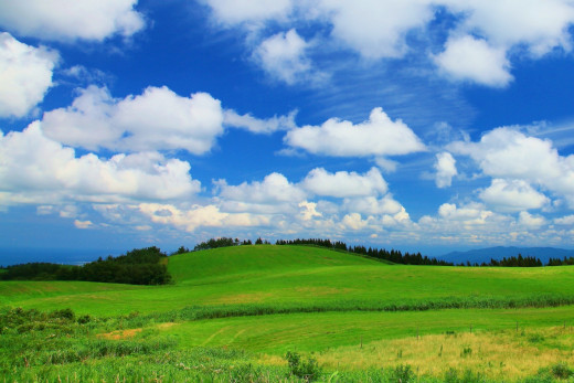 649567 (a): :1920x1280
